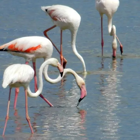 Casa Manuel Διαμέρισμα *